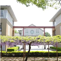 学校法人 立教女学院