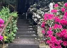 ドイツ支部会報告　2024.5