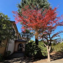 住所・氏名等変更についてのお願い