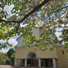 同窓会総会のお知らせ