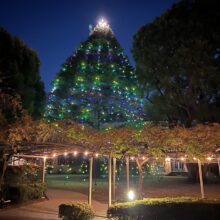 同窓生のためのクリスマス礼拝のご案内